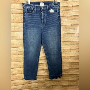 Serra retreat by Anthropology straight leg jeans size 12/32